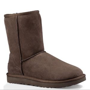 UGG CLASSIC SHORT  Chocolate